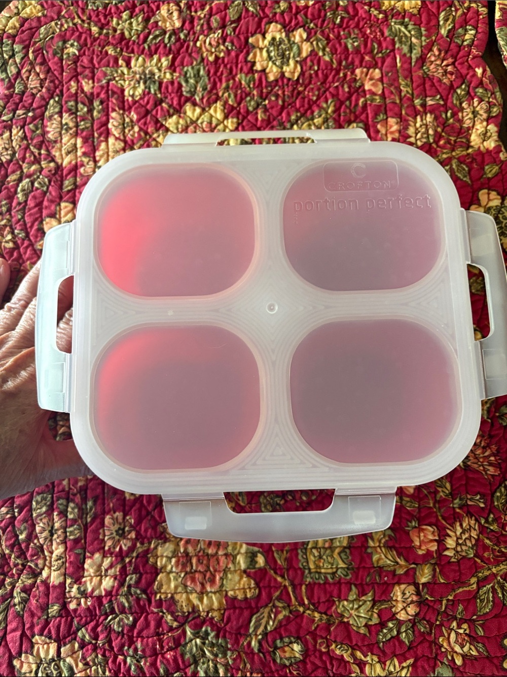 Portion Perfect 4-Compartment Food Storage Container - White/Clear